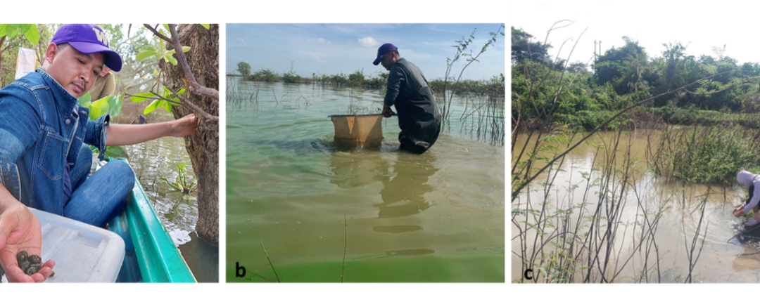 ESMFTCM – Enhancing the Study of Medically-important Freshwater Taxa of the Cambodian Mekong